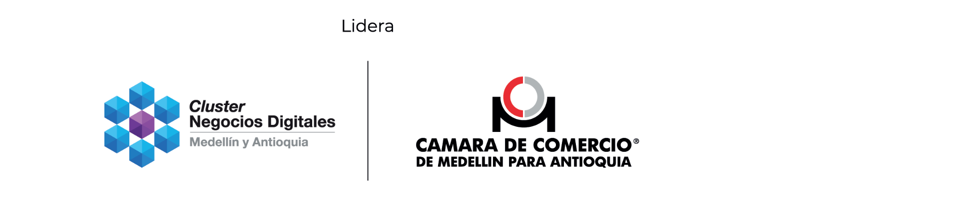 Cluster Negocios Digitales · Cámara de Comercio de Medellín para Antioquia